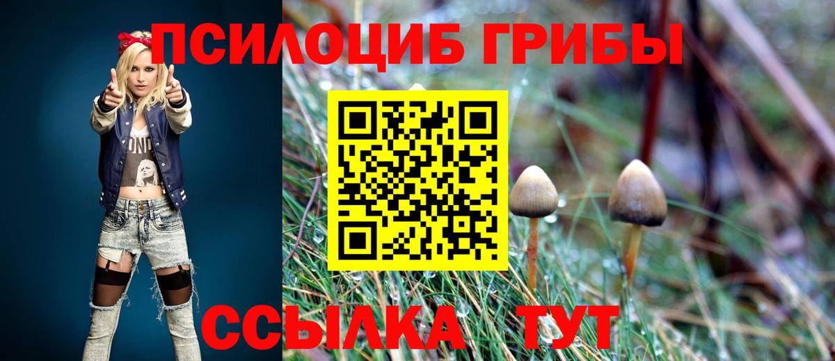 Галлюциногенные грибы Magic Shrooms Владикавказ